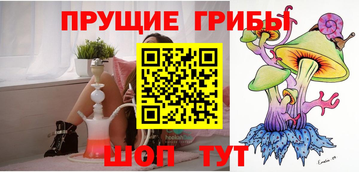 Йошкар-Ола  Псилоцибиновые грибы Magic Shrooms  наркошоп  Вход с VPN 